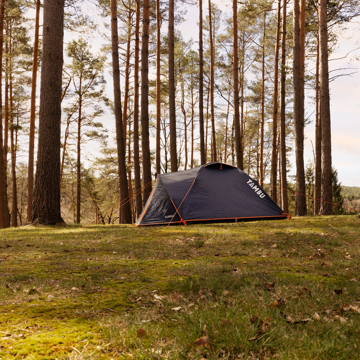 HAIKA 4 | 4 Personen Kuppelzelt - Image 8