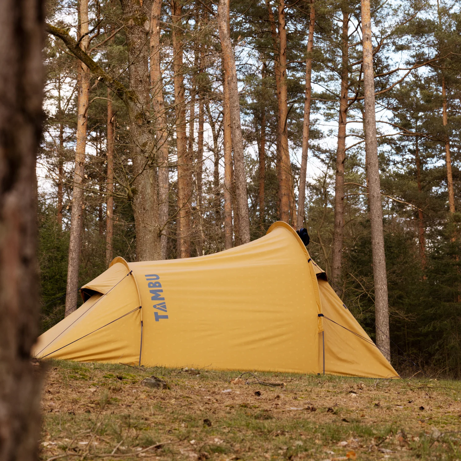 KALO 3 | 3 Personen Tunnelzelt, Black Sky - Image 6